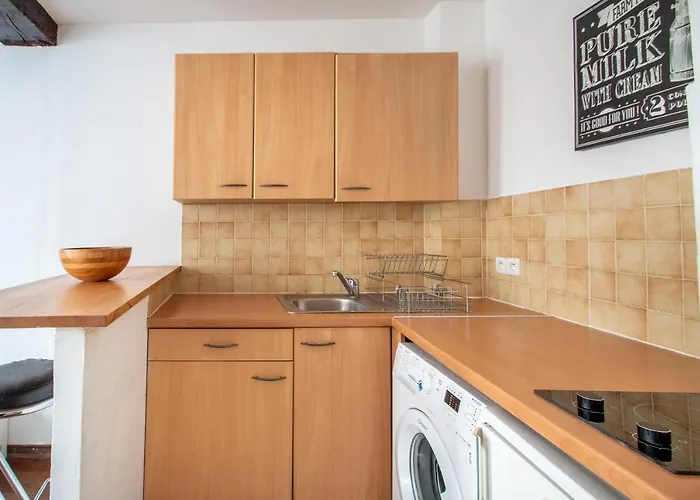 Studio Au Coeur Du Marais *